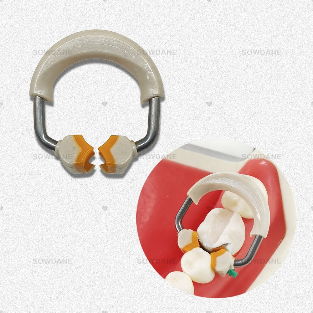 Dental Matrix Round Contoured Matrices System Clip Ring Matrix Each