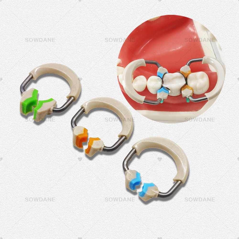 Dental Matrix Round Contoured Matrices System Clip Ring Matrix Each