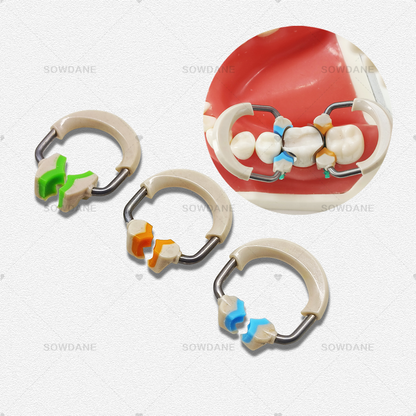 Dental Matrix Round Contoured Matrices System Clip Ring Matrix Each