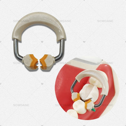 Dental Matrix Round Contoured Matrices System Clip Ring Matrix Each